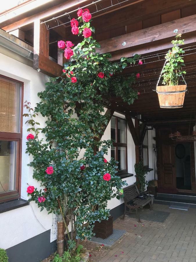 Wieko Ferienwohnungen Plauen Extérieur photo